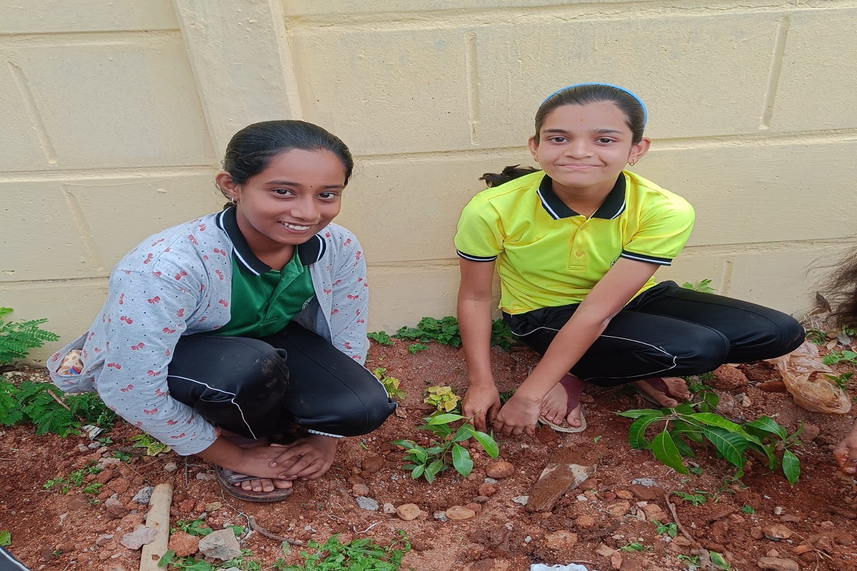 Environment day
