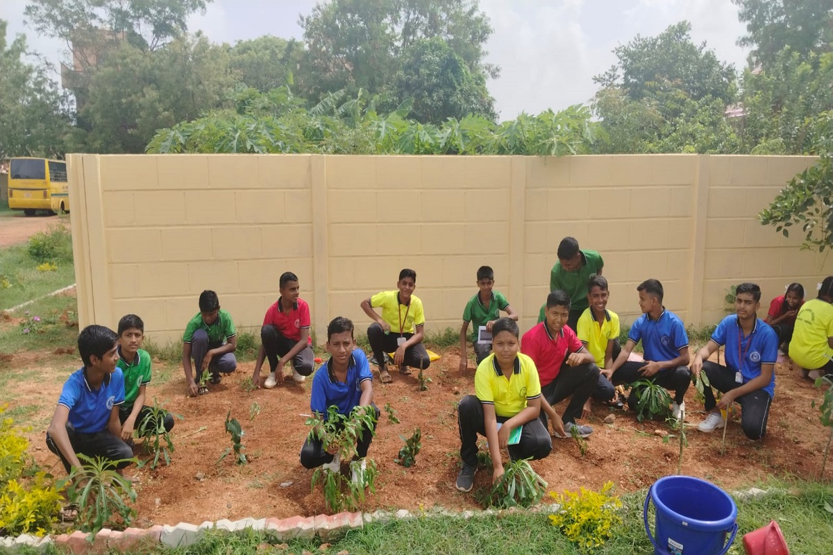 Environment day