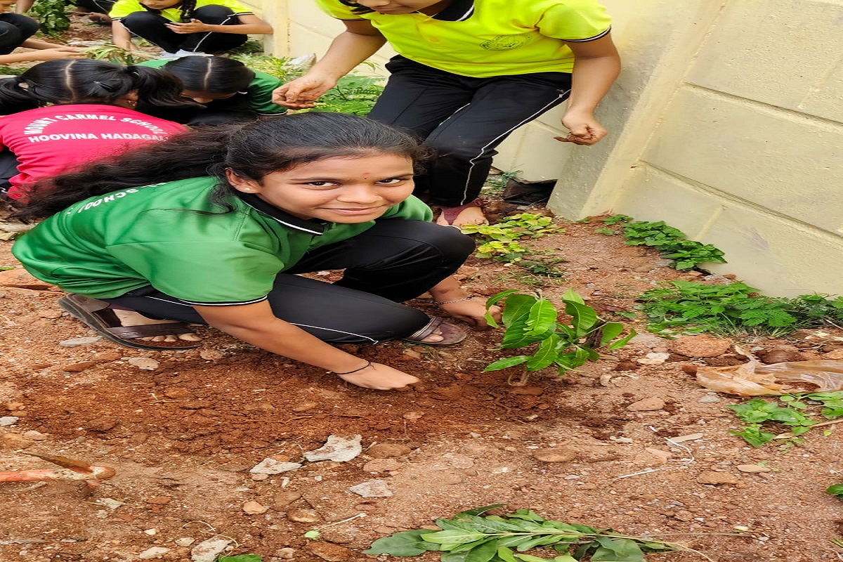 Environment day