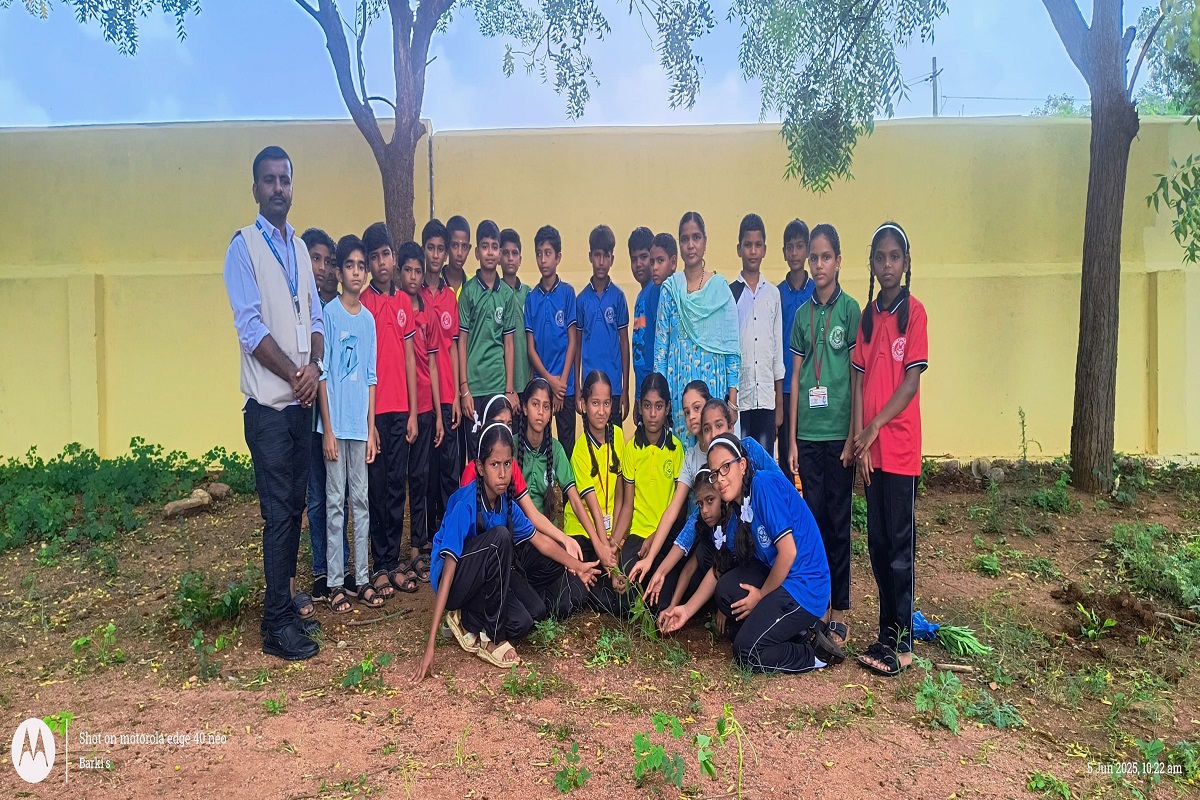Environment day